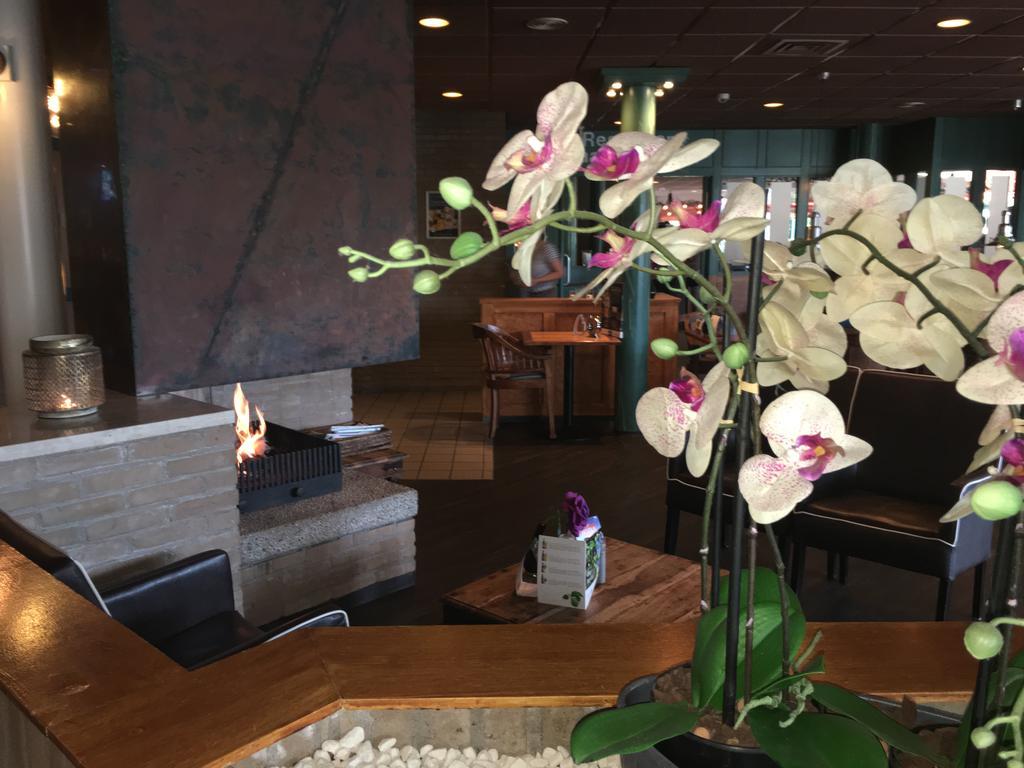 Appartement Ut & Thus, Resort Amelander Kaap Hollum  Esterno foto